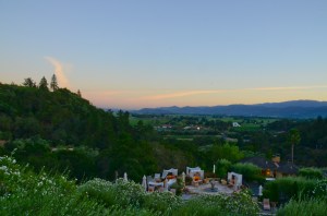 Jetsy_Napa (19 of 49)