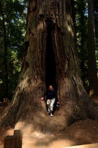 Jetsy_Napa (6 of 49)