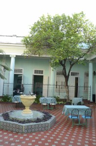 The patio of the Verja restaurant with the orange tree.