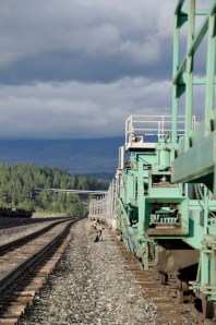 I loved the color of this train!