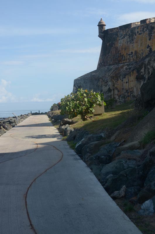 This is part of the new (to us) section approaching El Morro (We're at the corner of the wall just beyond the words "Polvorin de Santa Elena" on the map).