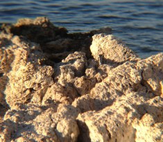 This is a detail of the tufa.
