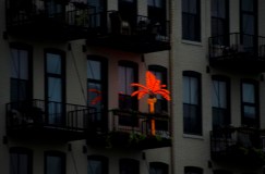 Sometimes one's sense of humor extends out on to the balcony.