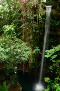 In the Orinoco Exhibit, this waterfall falls several stories.