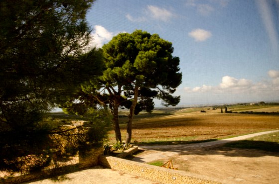The view from my window in Tenuta Stocatella.