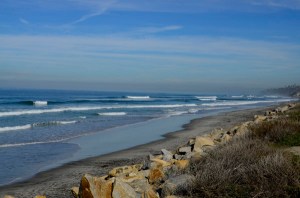 Beach at Torrey Pines