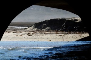 Another view towards the tidal marsh