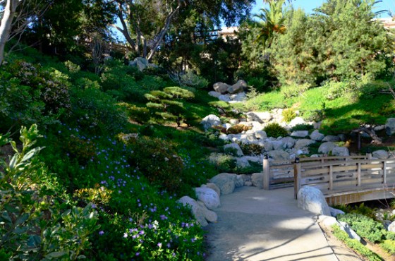 The Japanese Friendship Garden - picture strategically taken to avoid all signs of construction.