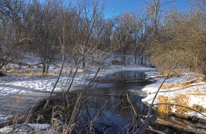 The stream in March