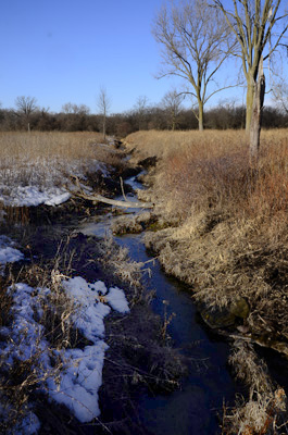 The brook under the funky bridge