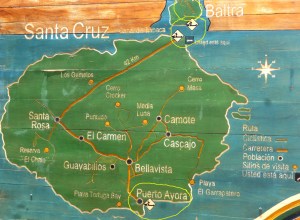 Follow our Route:  We landed at the airport on Baltra (top of the map), took a little ferry across to Santa Cruz.  Border a bus and drove to Puerto Ayora (where the breeding center is).  Our ship left from the Puerto Ayora after dinner on the 6th.