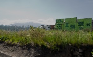 Seen along the way north.