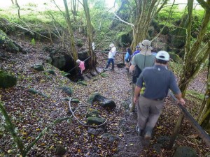 Down we go into the dank and dark!