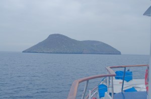 Sideways, you can see a bit more of the volcanic shape (and origin) of this little piece of rock.