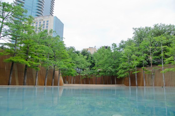 This is the passive experience - still, quiet, calm.