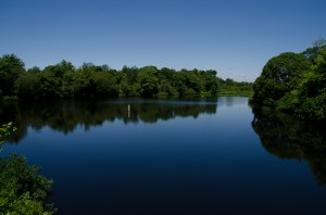 There is water everywhere!