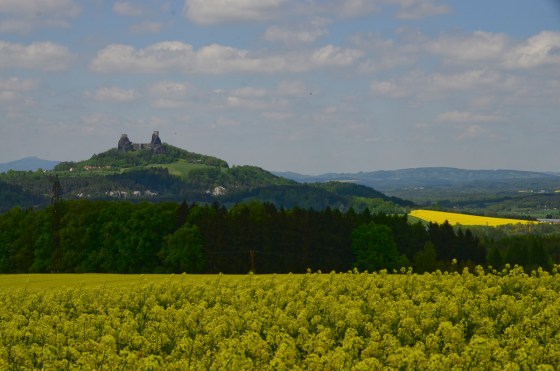 Castle Trosky seen from over the canola fields