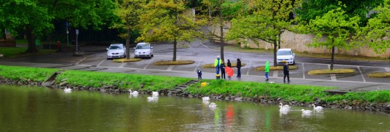 Look how many in this shot!