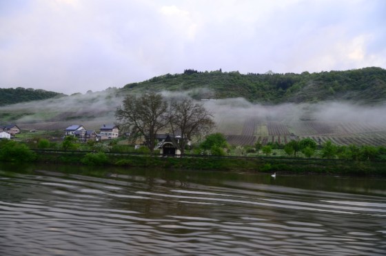 Foggy morning on the Moselle