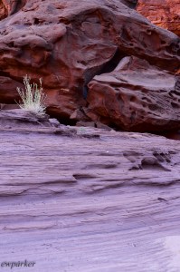 A creek bed at the bottom of a canyon is a good place to see what the water can carve.