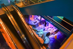 Looking down the escalators to the aquarium - we didn't visit it on this trip.