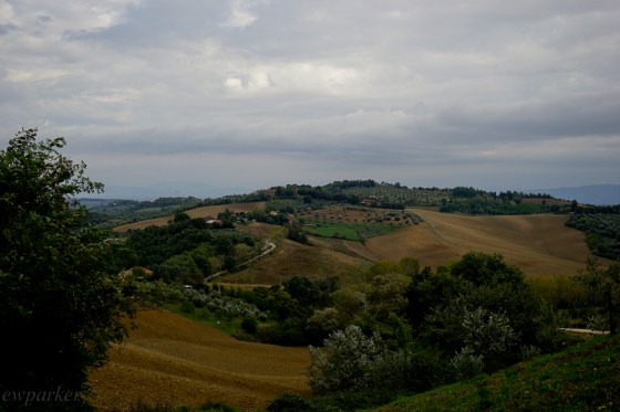 Quintessential Umbria - the soil is clumpy and plowed up for what? Winter wheat?