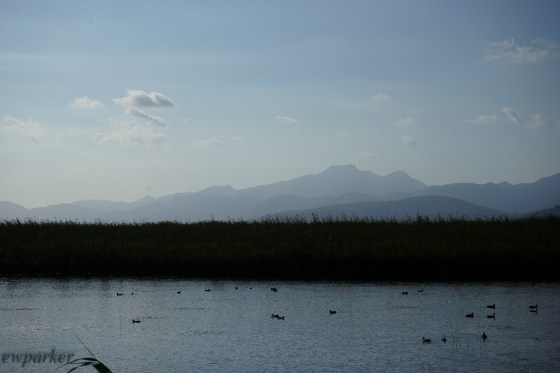 One of the marsh scenes from the Nature Park S'Albufera.