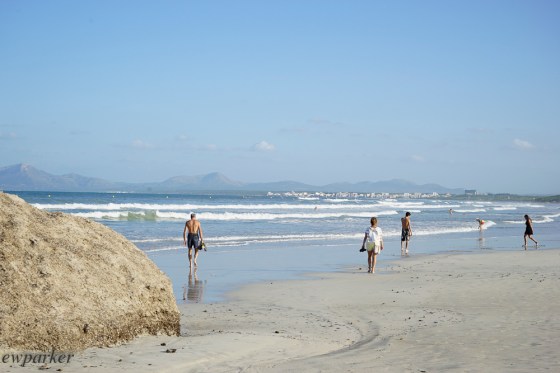 The beach portion of S'Albufera.