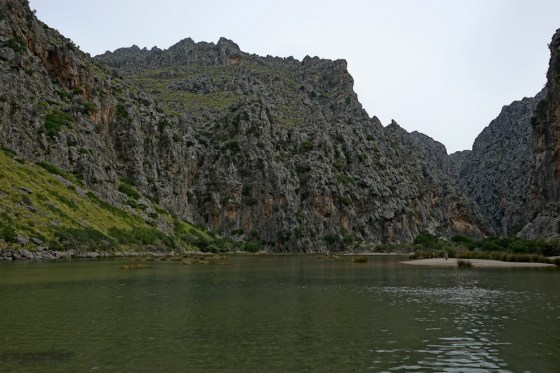 None of the pictures of the torrent captured how beautiful it is. The grey sky wasn't helpful. Just try to imagine what those rocks and water would look like in the sunshine.
