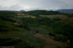 Another view on the walk to Spello.