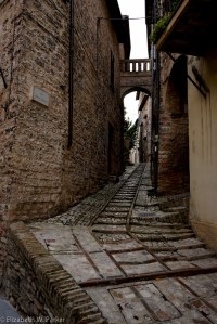 Did I say we had to walk up steep hills within the town. Here's an example! Spello