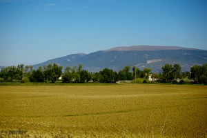 See mount Subasio's "tonsure"?