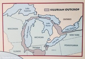 From Wikipedia: The Silurian is a geologic period and system that extends from the end of the Ordovician Period, at 443.8 million years ago (Mya), to the beginning of the Devonian Period, 419.2 Mya...The base of the Silurian is set at a major extinction event when 60% of marine species were wiped out. See Ordovician-Silurian extinction events. A significant evolutionary milestone during the Silurian was the diversification of jawed and bony fish. Life also began to appear on land in the form of small, moss-like, vascular plants that grew beside lakes, streams, and coastlines, and also in the form of small terrestrial arthropods.