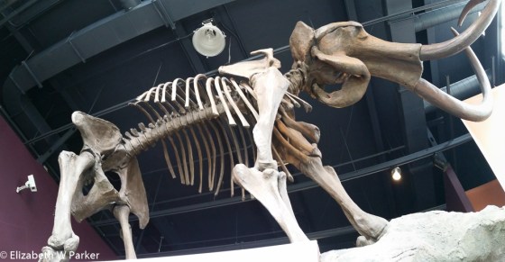 mammoth blog--2