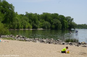 The beach in the park