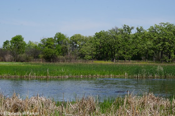A pastoral scene - serene and tranquil.