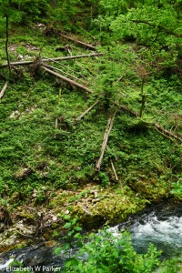 Vintgar Gorge, storm damage