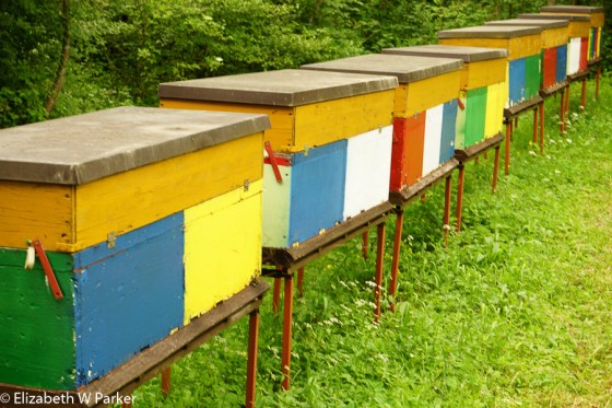 Typical painted beehives (trying to bring you back to a cheerful note!