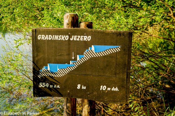 This image explains many things: (Jezero is the Croatian word for lake). The arrow shows you which lake in the chain you are looking at - one of these signs appears by the trail at every lake in the chain. Focus on the white hills protruding up from the cross-hatched rock bed. Those are the tufa barriers that the falls. They are still growing.