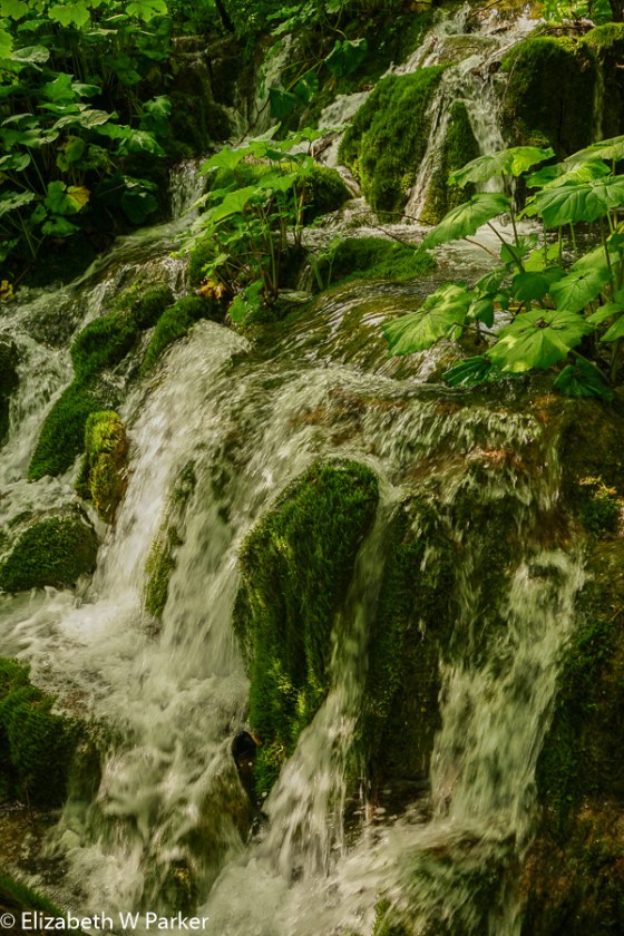 The rage of the falls