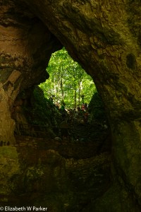 Once out the bottom, I had to look back up. Slippery, but could have been worse!