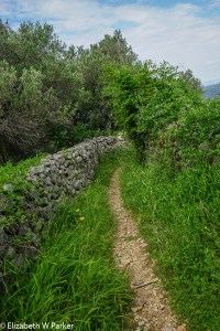 our path, along the stone walls that mark property lines.