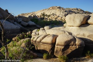 The water marks on the rocks at Barker's Dam