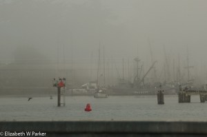 Harbor in the fog at Moss Landing