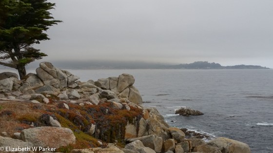 A last look: Ocean view from 17-Mile Drive