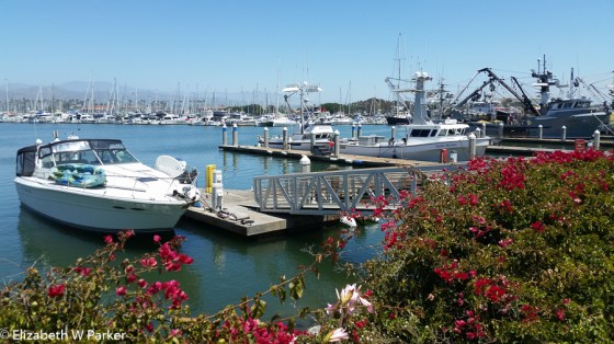 Harbor view in Ventura