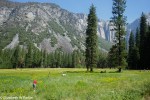 yosemite-09227