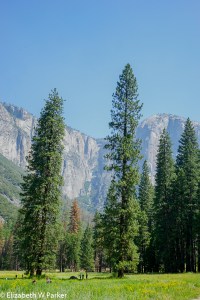 yosemite-09246