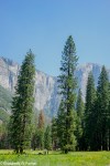 yosemite-09246