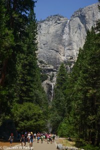 These are the Yosemite Falls - tiny rivulets at this time of year.